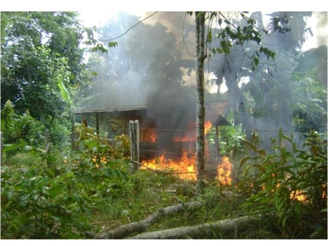 Policía antinarcóticos destruyó 13 laboratorios de coca en zona rural de Tumaco-Nariño