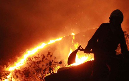 Fueron capturados 3 jóvenes, presuntos responsables de iniciar un incendio en zona forestal de Cali.