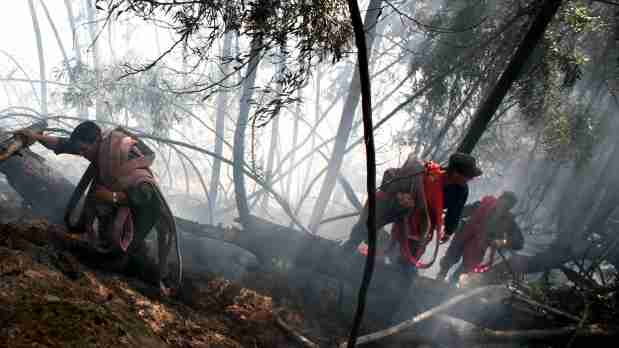 Incendio en zona rural de Jamundí ha consumido más de 100 hectáreas.