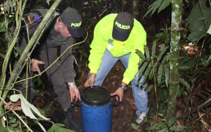 Descubierta caleta de explosivos de las FARC en Piamonte