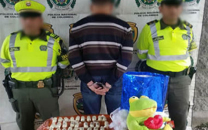 Incautados 1.170 gramos de cocaína que eran transportados en un peluche.