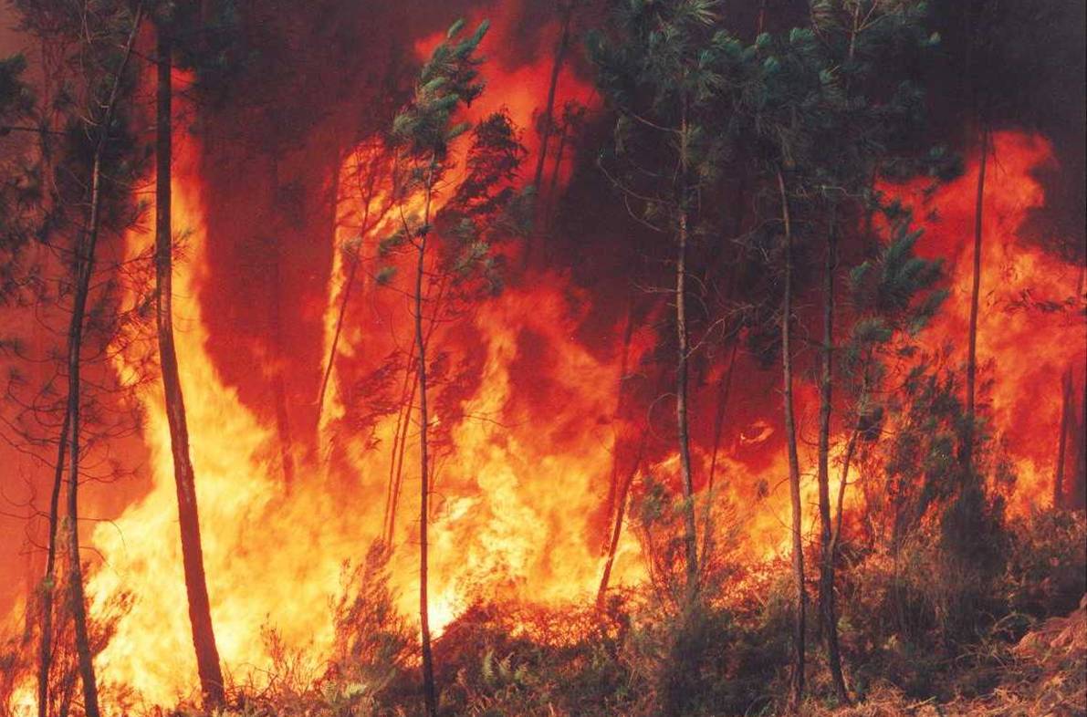 Organismos de socorro en alerta por incendios forestales en el Valle