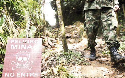 Fue neutralizado un campo minado de las Farc en zonas aledañas a Jamundí