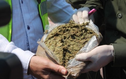 Se incautaron 100 kilos de marihuana en el corregimiento del Cabuyal-Cauca