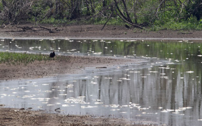 Preocupante la contaminación y sequida de los ríos Melendez y Cañaveralejo