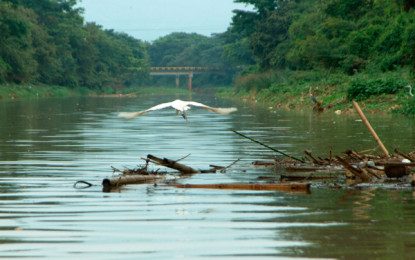Por contaminación del río Cauca sancionan a Interaseo