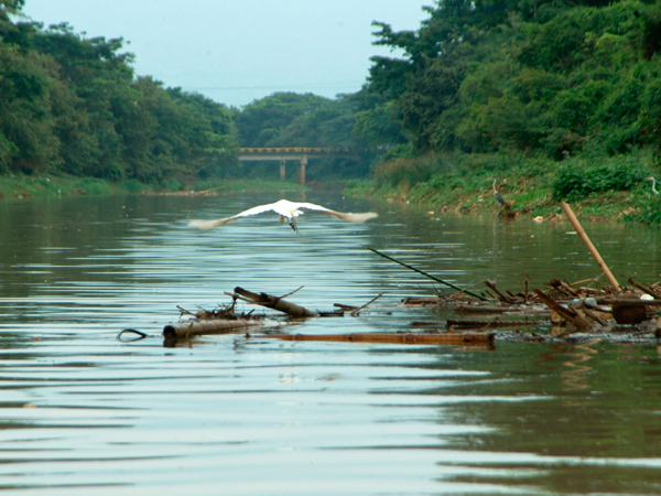 Por contaminación del río Cauca sancionan a Interaseo
