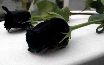 Asesinato de un hombre y su hijo en Jamundí podría ser por venganzas familiares