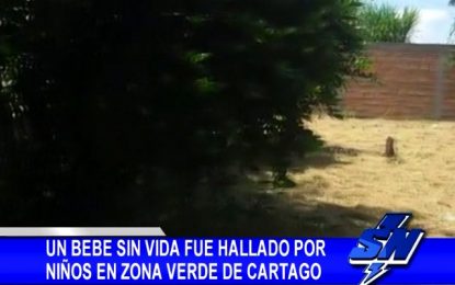 Un bebé sin vida fue hallado por niños en zona verde de Cartago