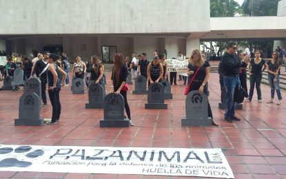 Colectivos de animalistas protestaron frente al CAM por caballos carretilleros