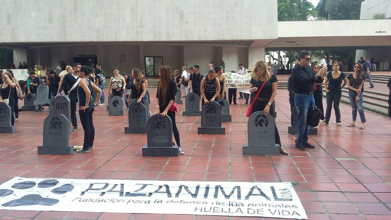 Colectivos de animalistas protestaron frente al CAM por caballos carretilleros