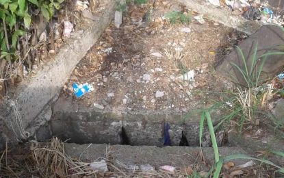 Habitantes de la Nueva Floresta preocupados por olores, proliferación de zancudos y presencia de roedores