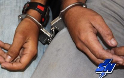 IMPORTANTES PROCEDIMIENTOS REALIZADOS A FAVOR DE LA SEGURIDAD EN CALI