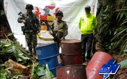 Un depósito ilegal y un laboratorio de coca fueron destruidos en el valle