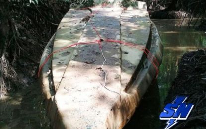 5 toneladas de cocaína fueron incautadas en el sur del país