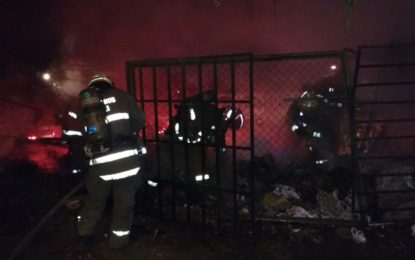 Incendio en el B/Floralia