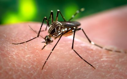 Alerta en el Valle del Cauca por casos de Dengue