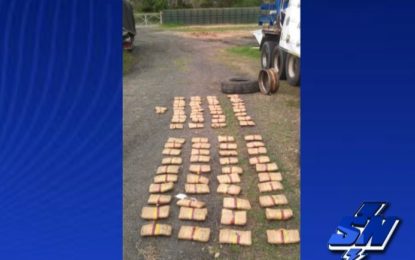 Incautados varios kilos de alucinógenos en el Valle y Nariño