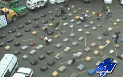 Incautadas 5 toneladas de Marihuana camuflada entre arena