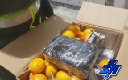 650 kilos de Marihuana potenciada hallada entre granadilla y tomates