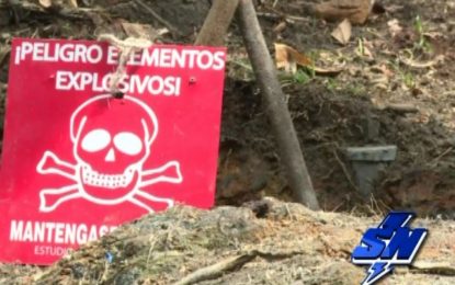 10 municipios a desminar en el Valle del Cauca