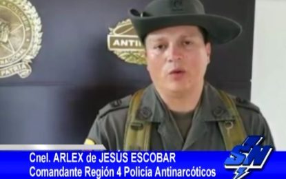 Varios kilos de estupefacientes incautados en Nariño y el Valle