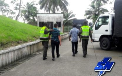 Capturados dos menores dedicados al hurto de celulares