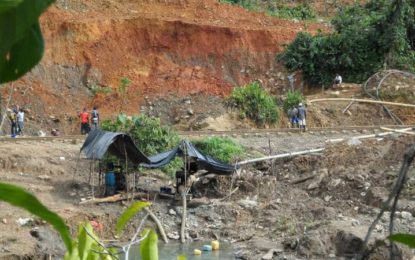 175 personas han sido capturadas en el Valle, Nariño y Cauca en 2016