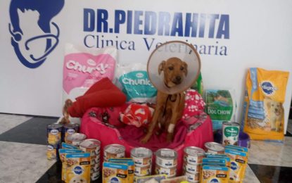 Recompensa de hasta $5 millones por información del maltratador de la perra «Lupita»