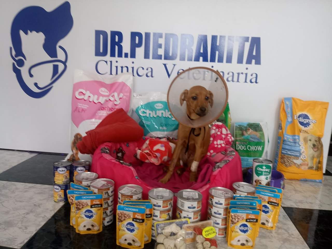 Recompensa de hasta $5 millones por información del maltratador de la perra «Lupita»
