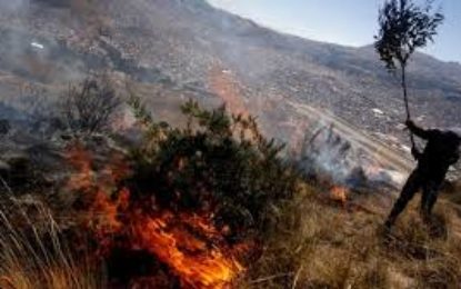 Altas temperaturas han generado más de 70 incendios en el Valle del Cauca