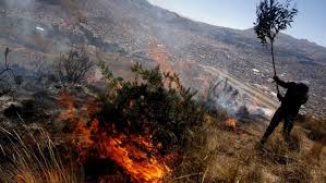 Altas temperaturas han generado más de 70 incendios en el Valle del Cauca