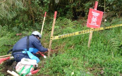 Destruídos más de 20 explosivos en el suroccidente Colombiano