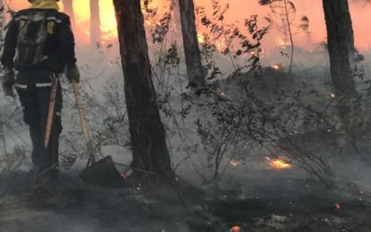 Bomberos de Cali están capacitados para atender incendios forestales