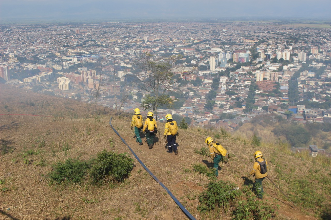 Lanzamiento de «Cerros más verdes» tras incendios forestales