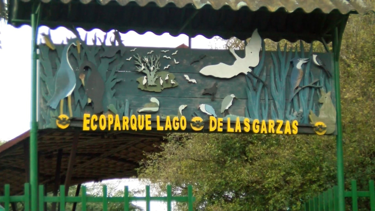 Más aire y biodiversidad en el renovado Eco parque Lago de las Garzas