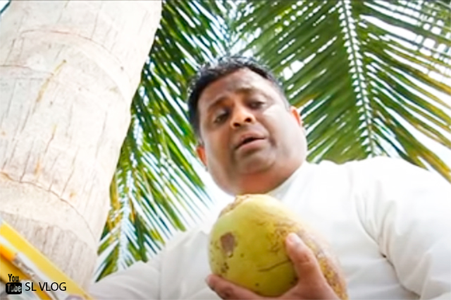 Viral: ministro se trepa en palma de coco para ofrecer un discurso