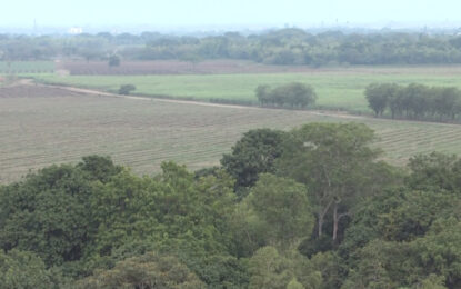 Millonaria recompensa por información sobre responsables de asesinatos en Jamundí