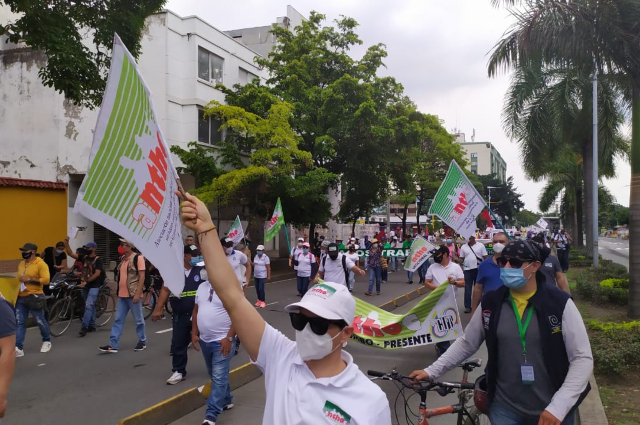 “Por la vida, la paz y la democracia”: resumen de la jornada de movilizaciones en Cali