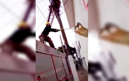 El rescate de ‘Marcelo’: los angustiosos minutos de un gato en un poste