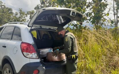 Fiscalía incautó más de 46 kilos de marihuana dentro de un carro abandonado en Sevilla