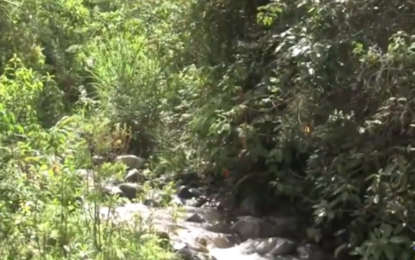 La cuenca del río Bolo será intervenida para salvarlo de la contaminación