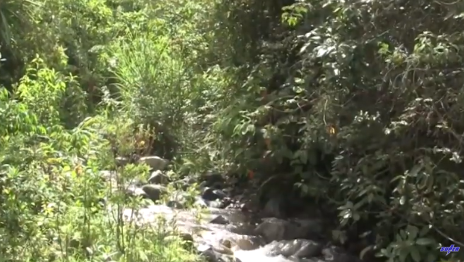 La cuenca del río Bolo será intervenida para salvarlo de la contaminación