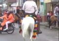 Concejal denuncia maltrato animal en cabalgata de inauguración en Vallegrande