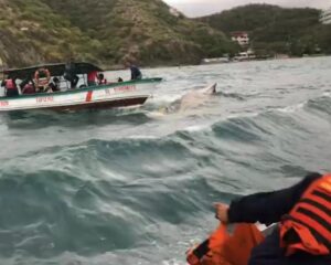 Buscan a cinco desaparecidos en la ruta Buenaventura–El Charco y denuncian suspensión de la búsqueda