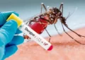 Aumentan casos de dengue en el Valle del Cauca
