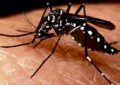 Alerta por el aumento de dengue en el país