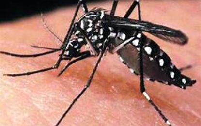 Declaran calamidad publica por Dengue