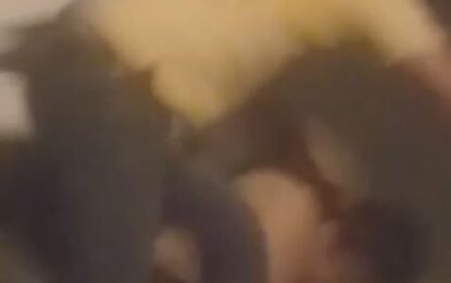 Fuerte caso de violencia contra una mujer en Cali