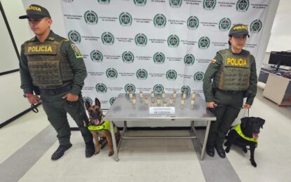 Incautan 469 gramos de cocaína en el aeropuerto de Palmira